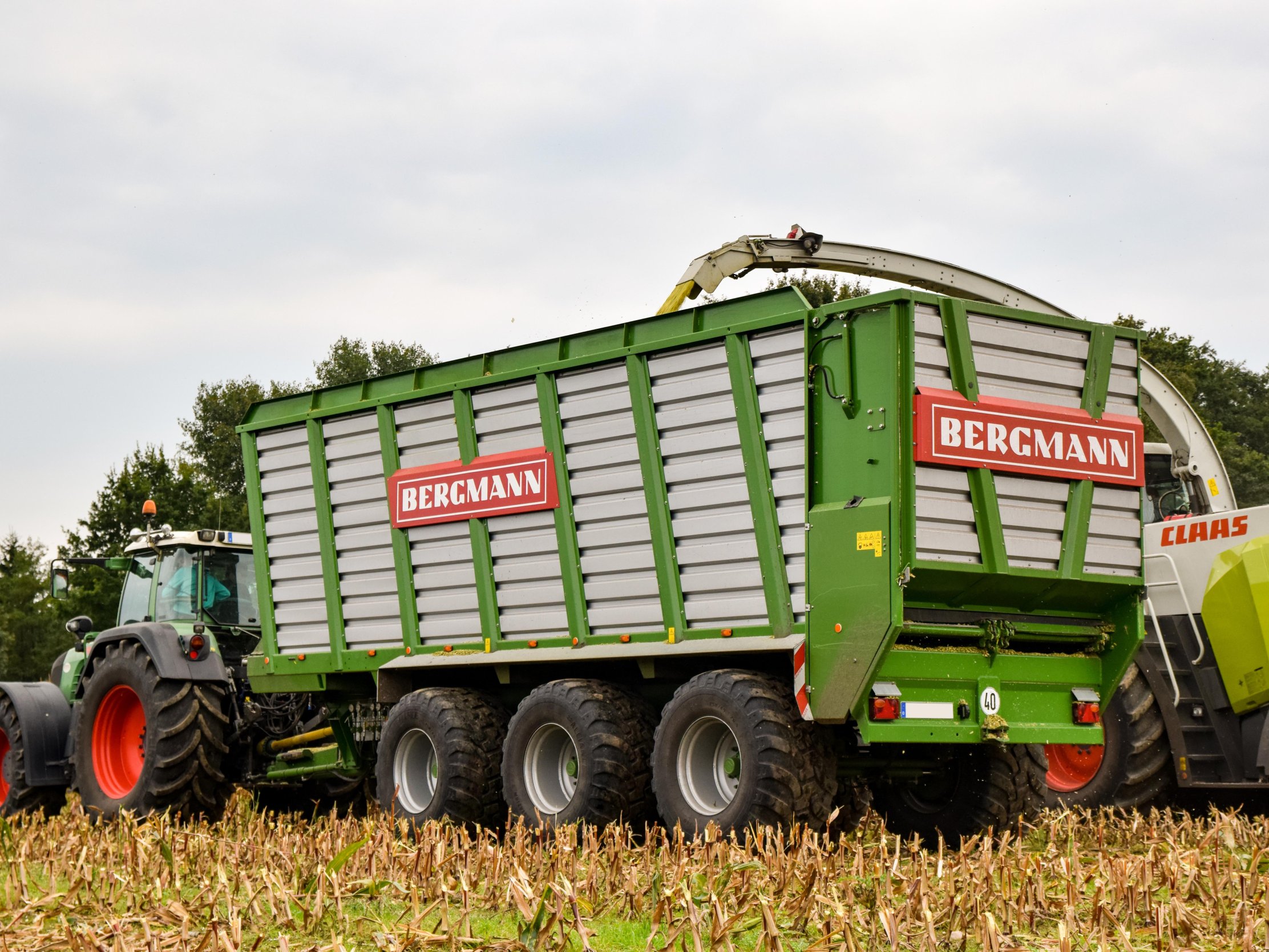 HT 50 - 